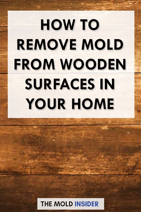 How to remove mold from. How To Get Rid Of Mold On Wood (1 Safe Hack | Mold remover ...