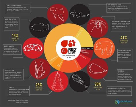 Iucn scientists release list of world's 100 most threatened species. IUCN Infographic | Red, Infographic, Endangered species