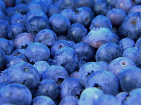 Blueberries Blueberry Fruit · Free Photo On Pixabay