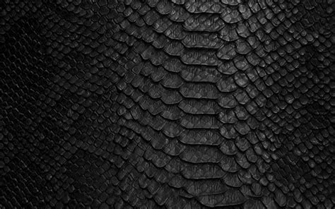 Check spelling or type a new query. Download imagens black snake textura de couro, pele de ...