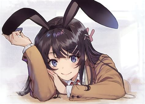 Rascal Does Not Dream Of Bunny Girl Senpai Hd Wallpaper Background Image 2878x2080 Id