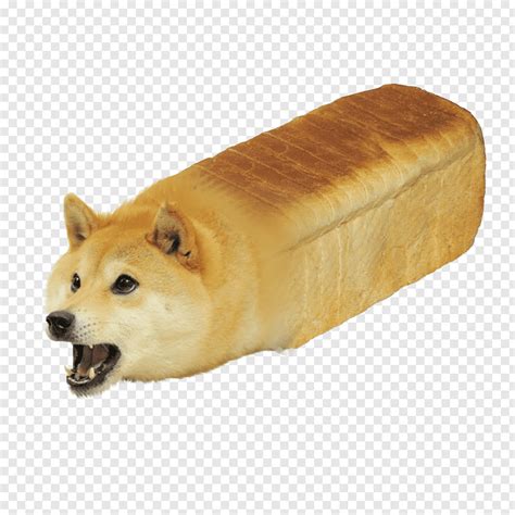 Allows you to choose the type of transaction (such as sent or received) you wish to. Shiba Inu Doge YouTube, bread PNG | PNGWave