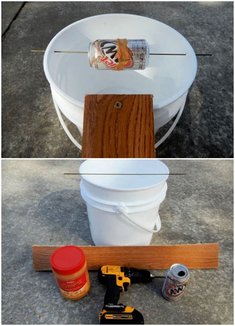 Homemade Mouse Trap DIY Rat Traps That Really Work