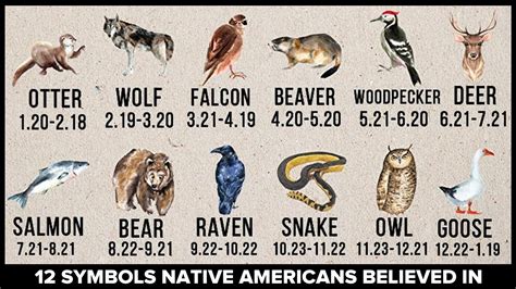 Native American Animal Symbols Wolf