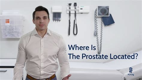 Is It The Prostate Or Prostrate Gland What Does It Do