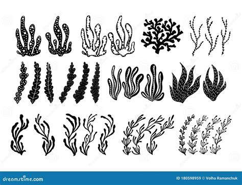 Hand Drawn Sea Plants And Aquarium Seaweed Silhouette Set Vector