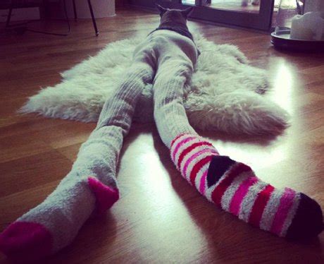 Check out these gorgeous feet nylon socks at dhgate canada online stores, and buy feet nylon socks at ridiculously affordable prices. Cats In Tights! - Heart