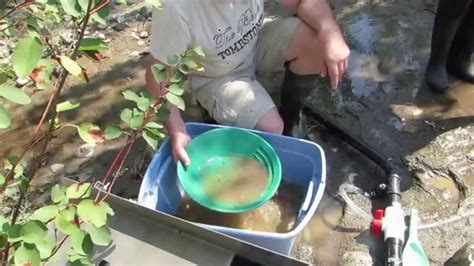 Gold Minning The Thompson River Part 2 August 2014 Youtube