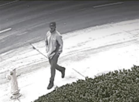 Police Search For Sexual Battery Suspect Who Body Slammed Groped Woman • Long Beach Post News