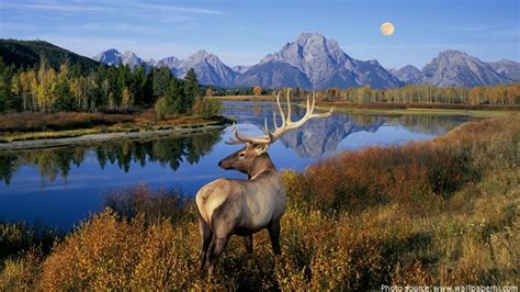Interesting Facts About Banff National Park Just Fun Facts