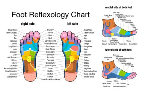 Foot Reflexology 101 Footfiles