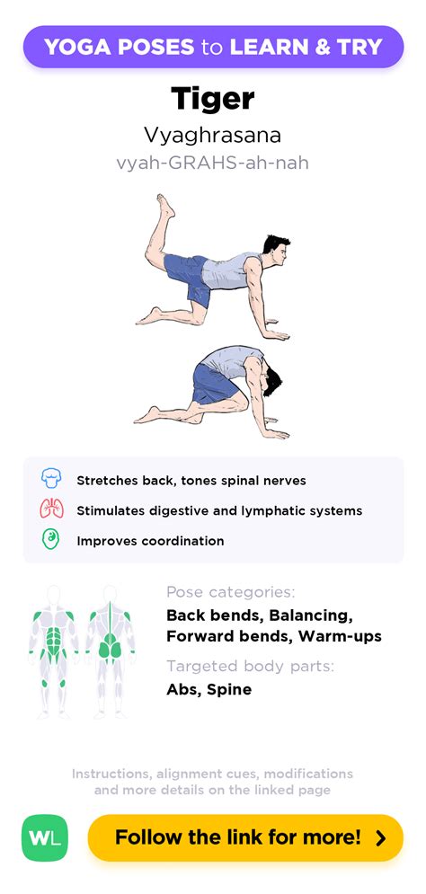 Tiger Vyaghrasana Yoga Poses Guide By Workoutlabs