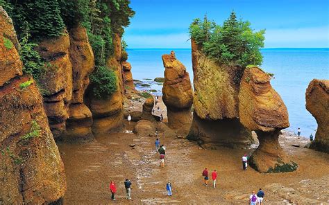 5 Five 5 Bay Of Fundy Canada