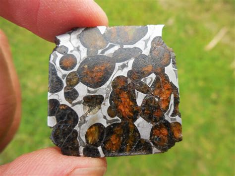74 Gram Conception Junction Pallasite Meteorite From Missouri Ex