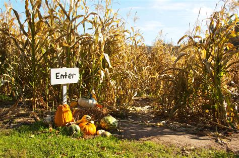 Five Corn Mazes In The Stateline To Visit This Fall Stateline Kids