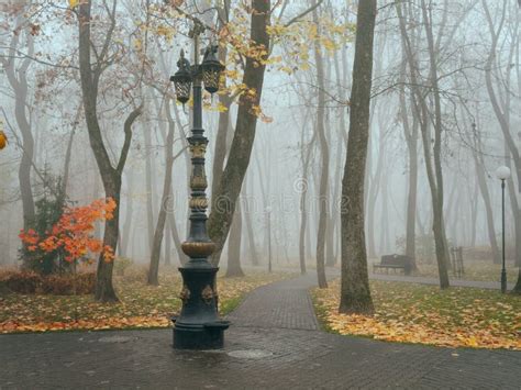 Cozy Alley In A City Foggy Park In The Fall Gomel Belarus Stock Image