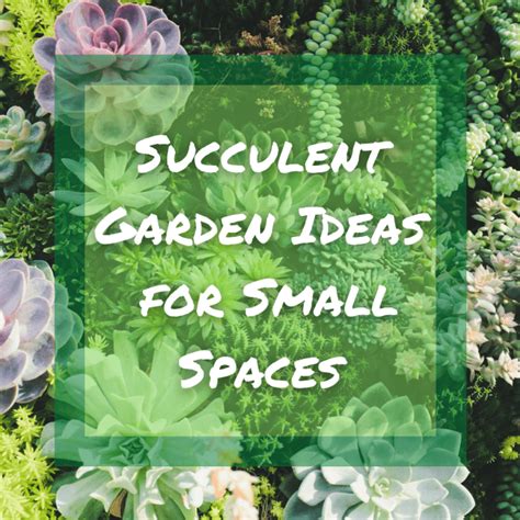 Succulent Gardens For Small Spaces Dengarden