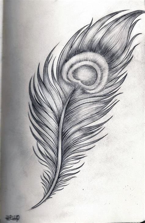 Pin By Leha Velasquez On Tattoos Feather Sketch Feather Drawing