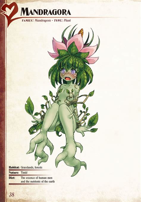 Monster Girl Quest Female Monster Monster Book Of Monsters Anime