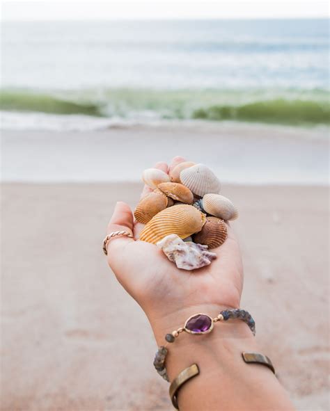 She sells sea shells. ? | She sells seashells, Fernandina 