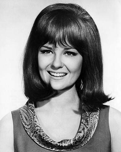 Classic Hollywood Actresses Shelley Fabares