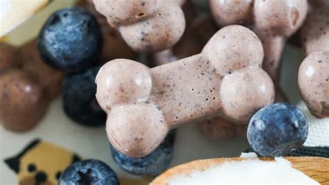 Blueberry And Coconut Oil Gummy Dog Treat Recipe