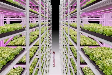 Vertical Growing And Farming Systems Vital Valt