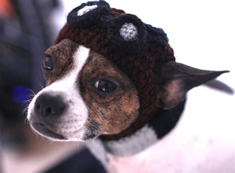 Aviator Dog Hat Cute Steampunk Dog Made To Your Order