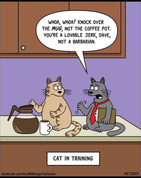 22 Cartoon Cat Jokes References Peepsburghcom