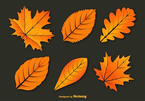Colorful Autumn Leaves Vectors 98890 Vector Art At Vecteezy