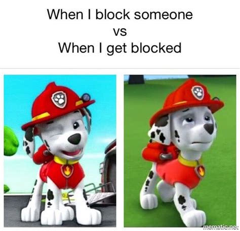 Funny Paw Patrol Memes And Pics 1 Highest Ranking Blockster