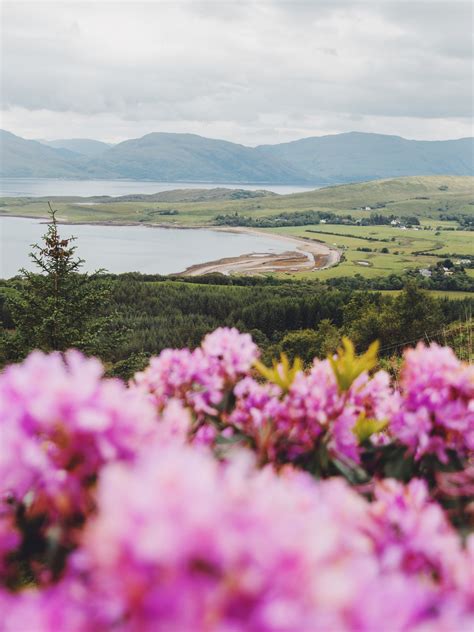 Highland Titles Nature Reserve — Eilidh Cameron Photography