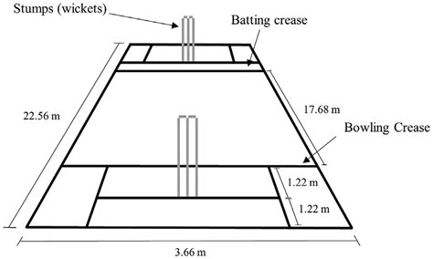 What Is The Length Of A Junior Cricket Pitch