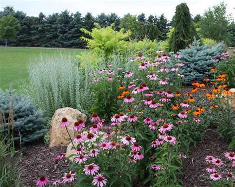 Layering Your Landscape Using Trees Shrubs And Perennials Pahl S