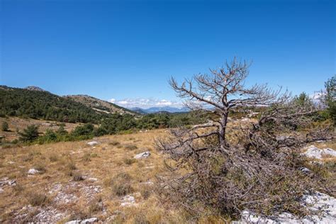 Gréolières les neiges est une station de ski du département de alpes maritimes. Gréolières-les-neiges en été ! - Blog de Voyage, Tutoriels ...