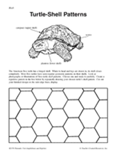 It is also called the painted terrapin. Turtle-Shell Patterns: Printable Arts & Crafts Activity ...