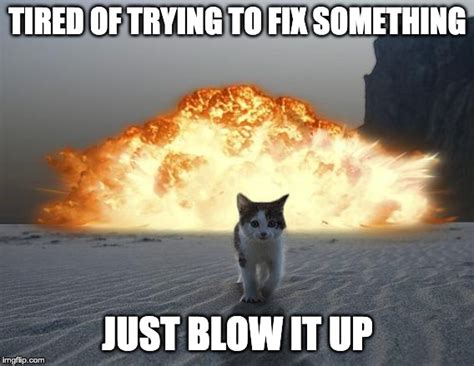 Cat Explosion Imgflip