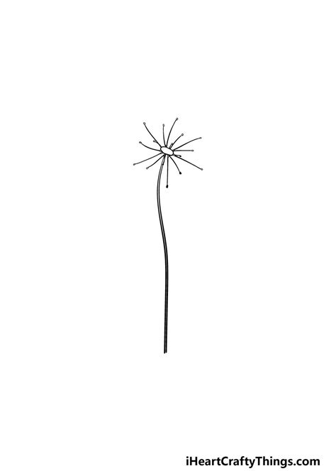 Dandelion Drawing How To Draw A Dandelion Step By Step