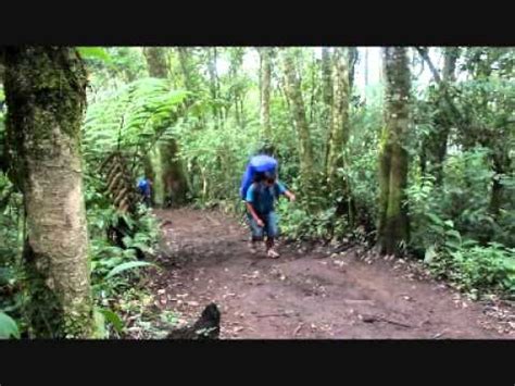 Gunung putri (su) gunung putri. Gunung Gede via Putri - YouTube