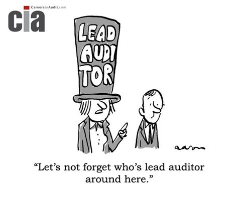 Audit Cartoon Lead Auditor Auditor Internal Audit Audit