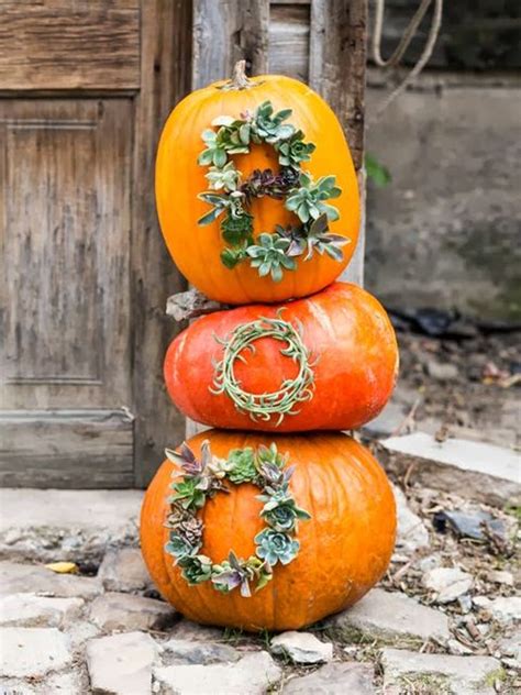 25 Best Outdoor Pumpkin Decorations Cute Outdoor Pumpkin Décor