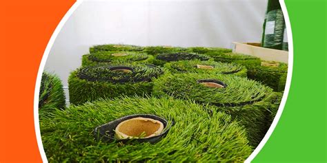 Difference Between Turf And Artificial Grass Explained Cba Sports