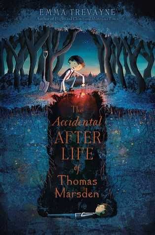 The Book Cover For The Accident After Life By Thomas Marden