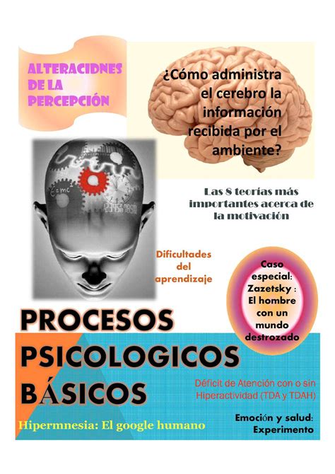 Calaméo Procesos Psicologicos Basicos