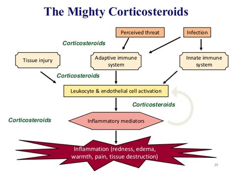 Corticosteroids mimic the effects of hormones, such as cortisol. Steroids for inflammation