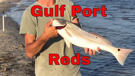 Surf Fishing For Redfish In Gulfportbiloxi Mississippi Youtube