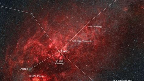 Deep Sky Im Sternbild Schwan Spektrum Der Wissenschaft