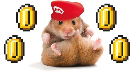 Gr Pick Watch A Hamster Clear A Super Mario Level