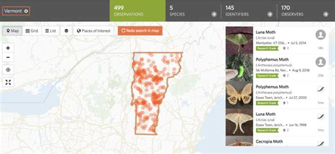 Giant Silkmoth Data Vermont Atlas Of Life