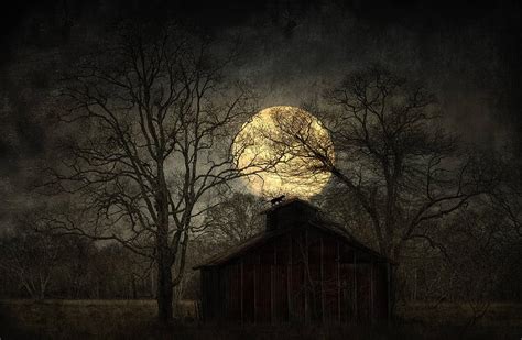 Witches Moon Digital Art By Hazel Billingsley Pixels